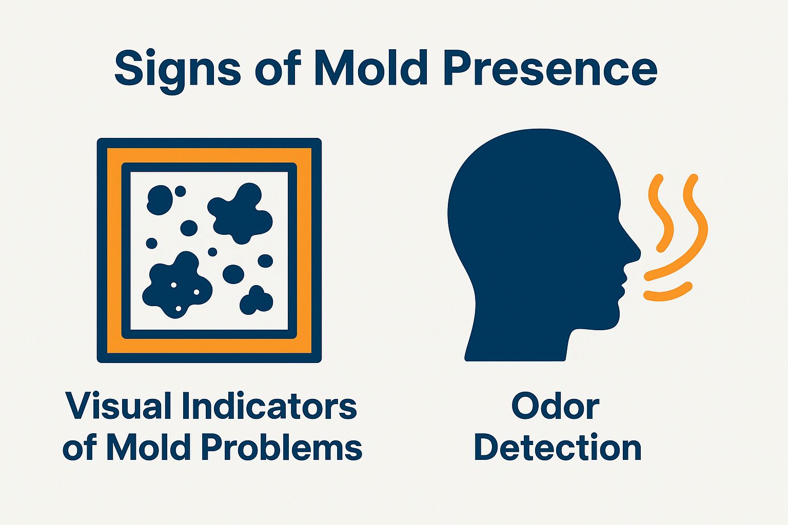Signs of Mold Presence